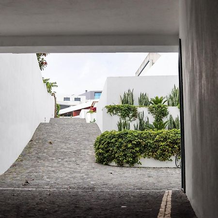 Sao Miguel Charming House By Lfc Apts Ponta Delgada  Exterior photo